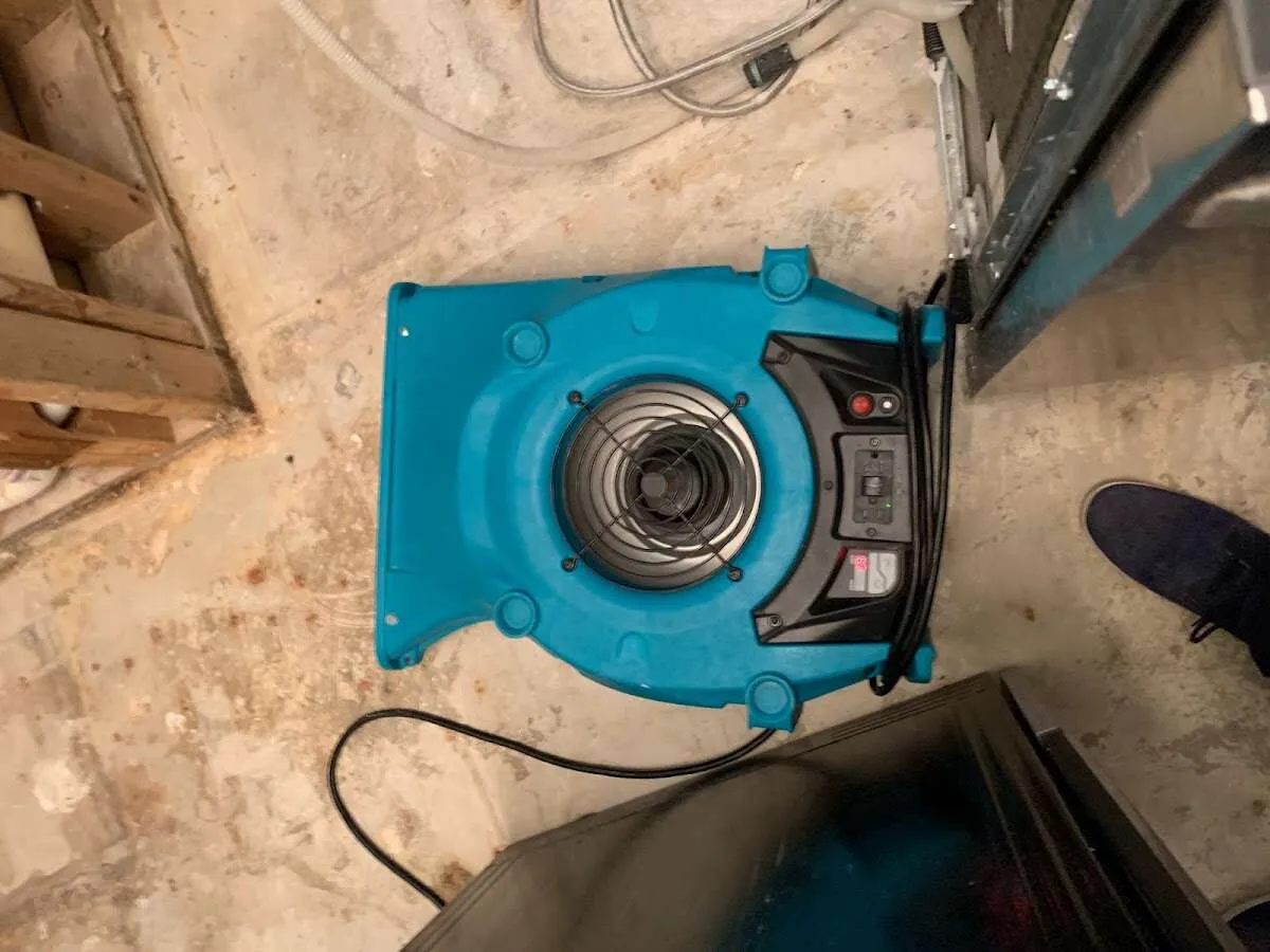 Air mover drying equipment for Mold Remediation & Removal in Eastpointe